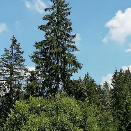 Paradizo-zlatar, 1 Casa de hóspedes 3*